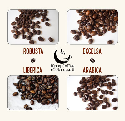 چند نوع دانه قهوه داریم؟ آشنایی با انواع دانه های قهوه همراه مشخصات و ویژگی های آن ها
